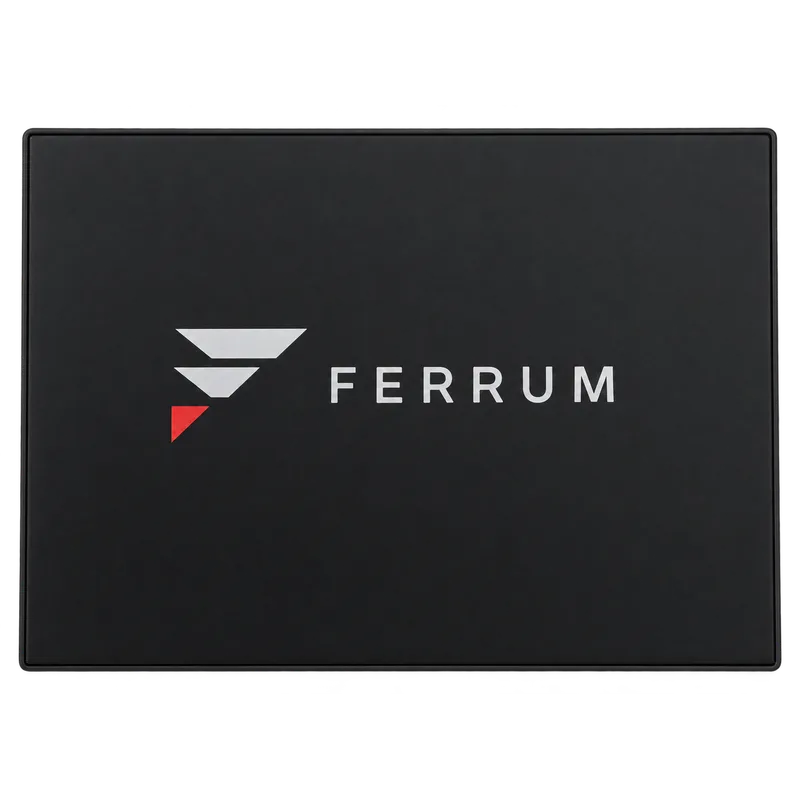 Ferrum input device